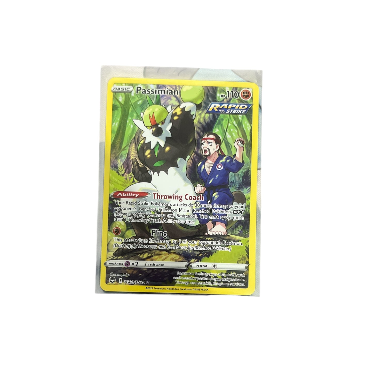 Pokémon Card